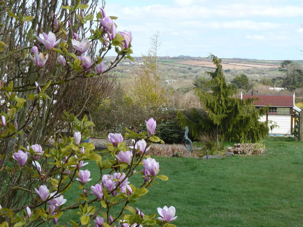 The White Cottage B&B Saint Teath ภายนอก รูปภาพ
