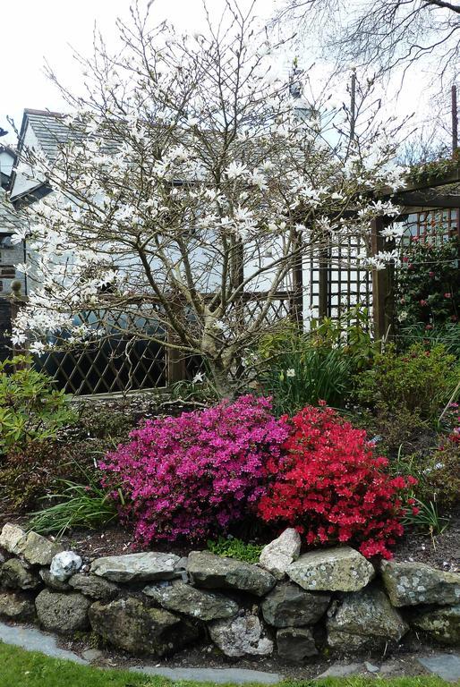 The White Cottage B&B Saint Teath ภายนอก รูปภาพ